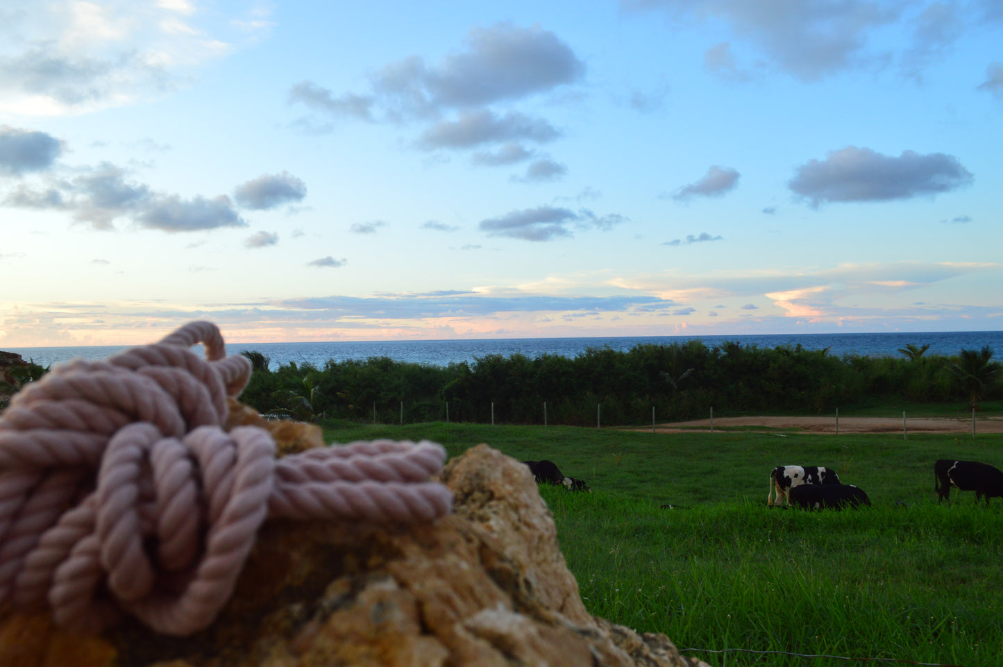 mangas Atardecer