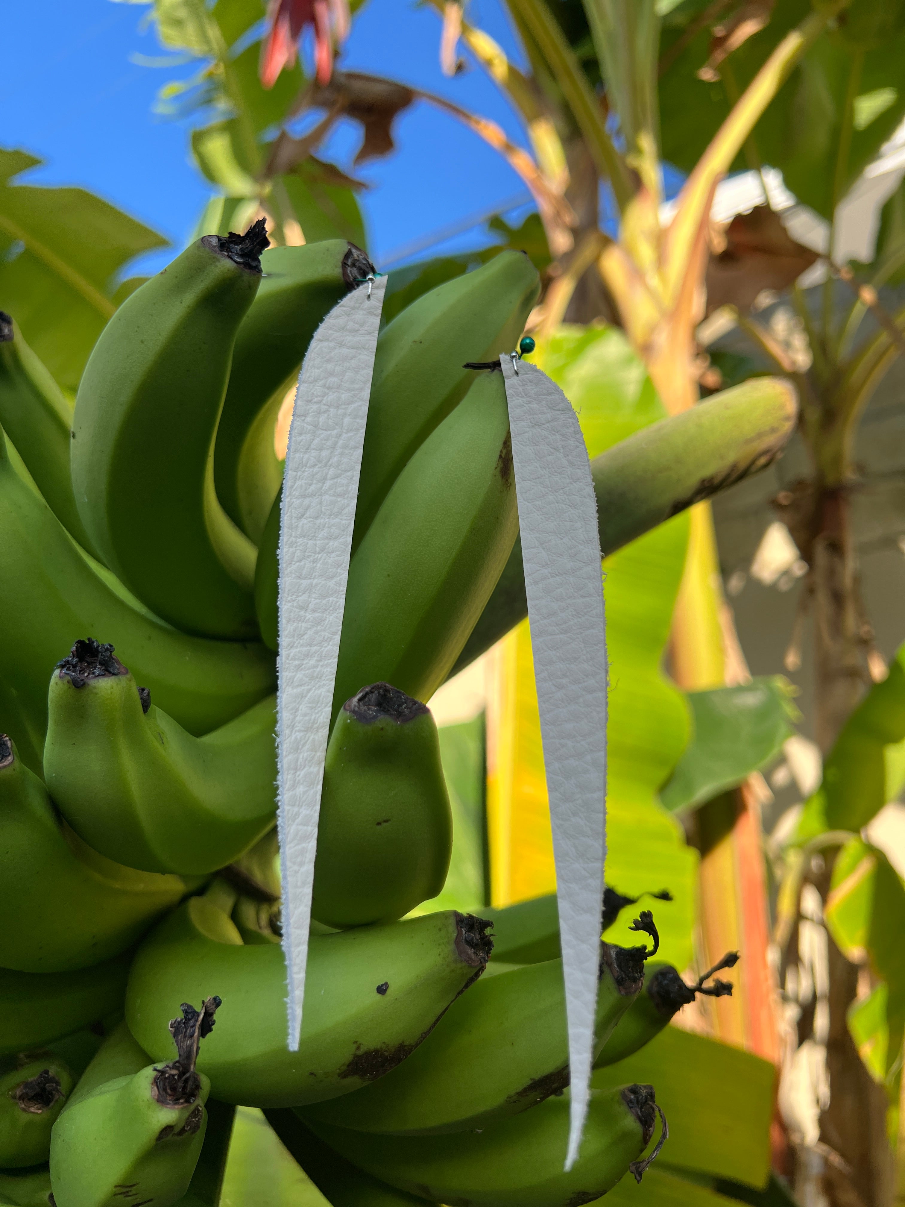 Pantallas cuerosas • blancas