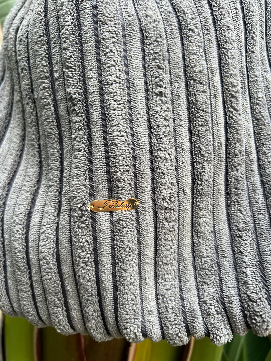 ATARDECER: Julia, la cartera